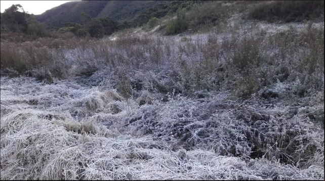 Parque Nacional do Itatiaia, no Rio de Janeiro, teve geada e mínima recorde em 2019 de -5,4 ºC - Foto: Carlos Fonseca