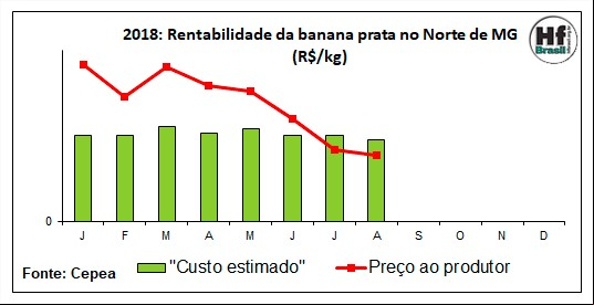 Rentabilidade da banana - Cepea Hortifruti