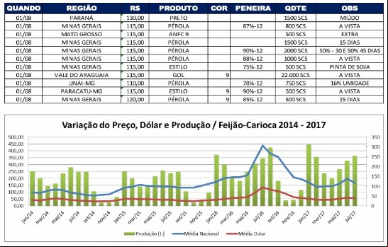 Relatório Feijão 02/08