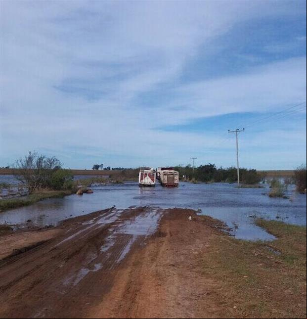 Foto enviada pela associação CRA ao jornal La Nación