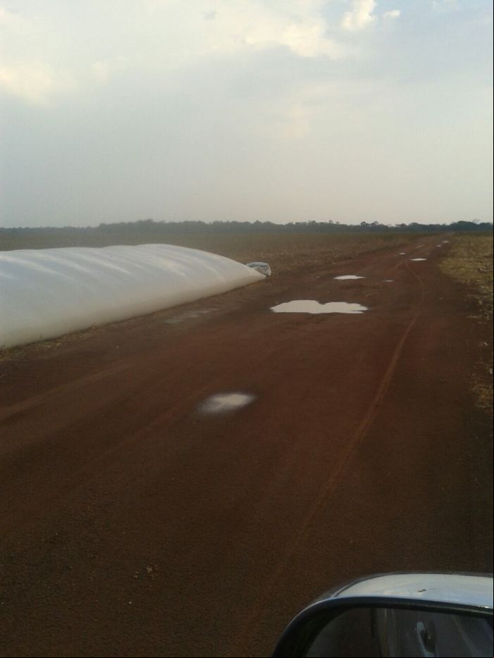 Imagem do dia - Imagem da chuva registrada em Silvanópolis (TO). Envio do produtor rural Dari Fronza
