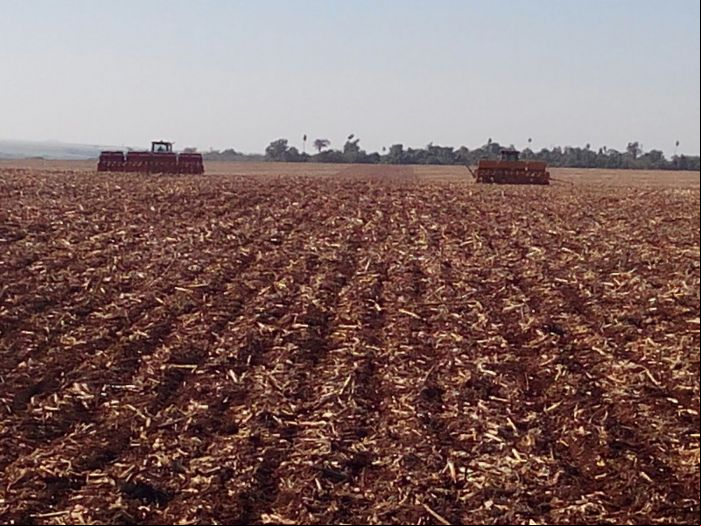 Imagem do dia - Início plantio de soja em Guadalupe (PY), na Estância Bom Sucesso. Envio de Rui Carlos Ferri