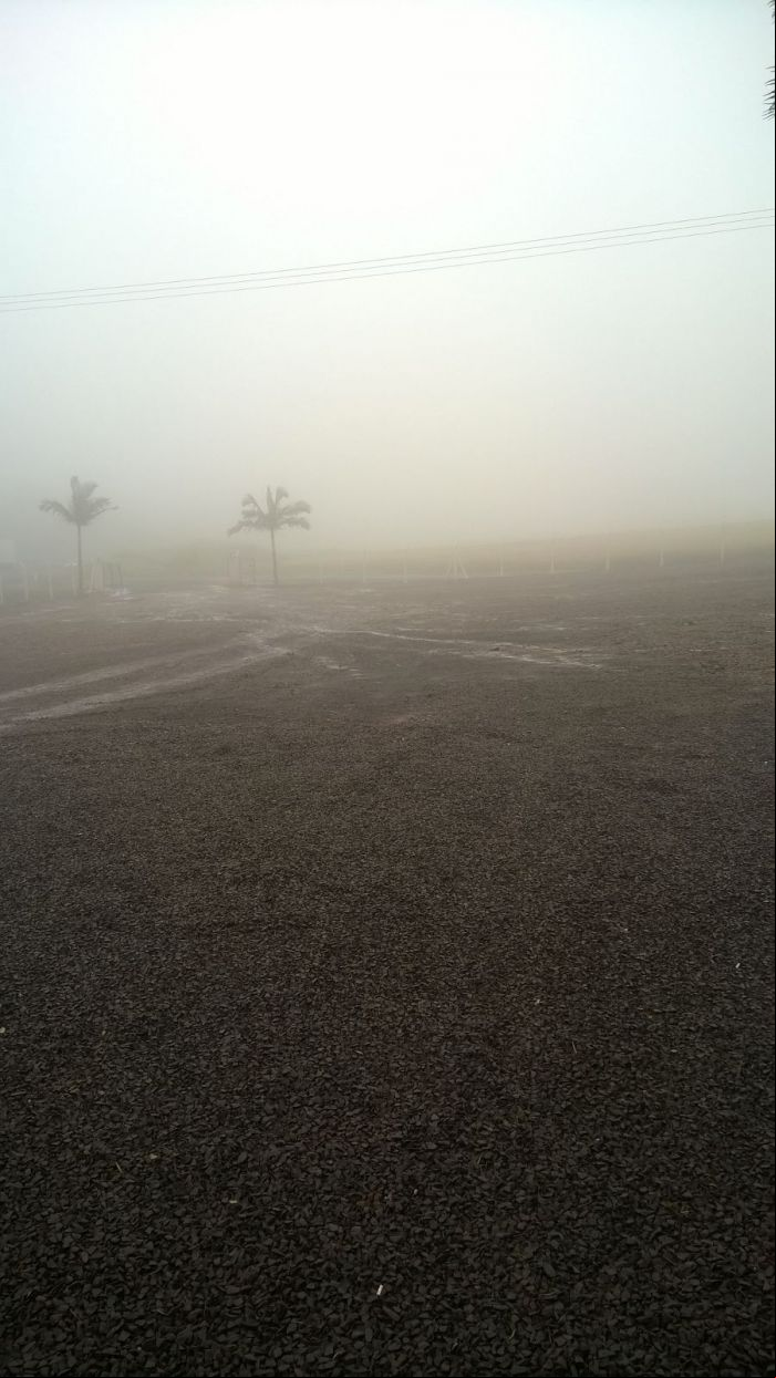 Chuva atrapalha colheita de trigo na região de Céu Azul P.R . Foto enviada por Josimar Fogliarini