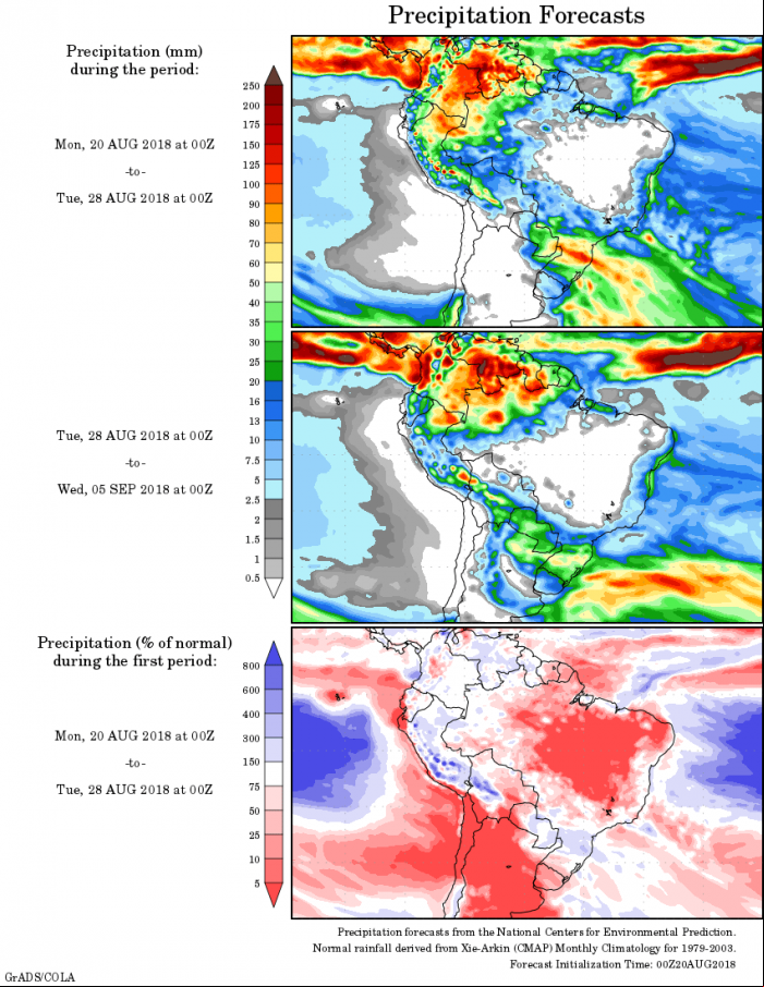 Mapa com a precipitação acumulada para o período de 17 de agosto até 02 de setembro - Fonte: National Centers for Environmental Prediction/NOAA