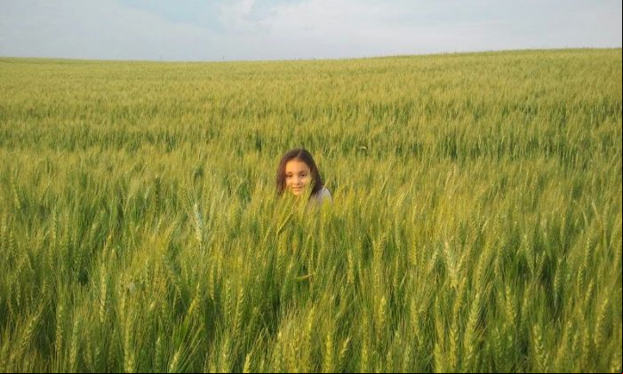 Imagem do dia - Manuella Pelentier Managó na lavoura de trigo em Espigão Alto do Iguaçu (PR)